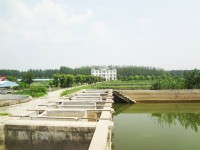 企業(yè)環(huán)境